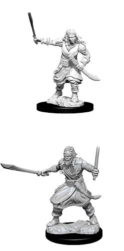 Nolzur's Marvelous Unpainted Miniatures - Monsters [Choose One]