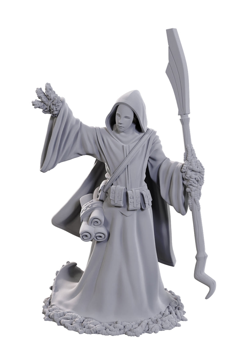 Nolzur's Marvelous Unpainted Miniatures - Monsters [Choose One]