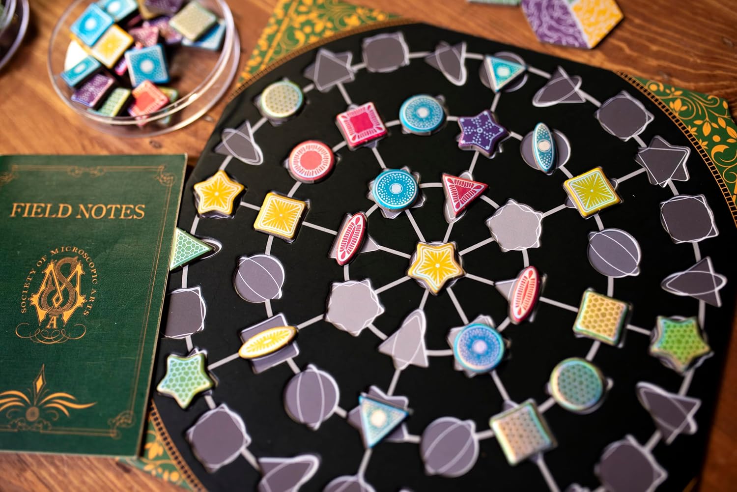 Diatoms