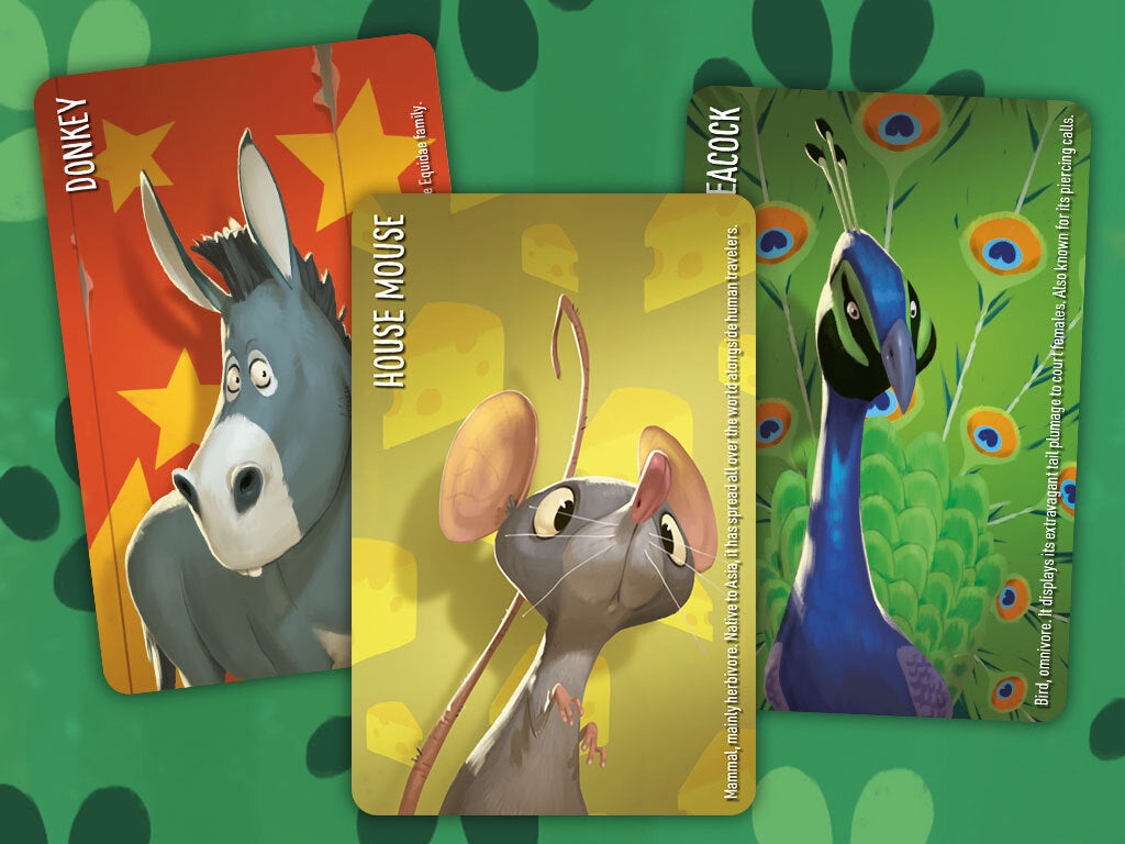 Similo: Animals