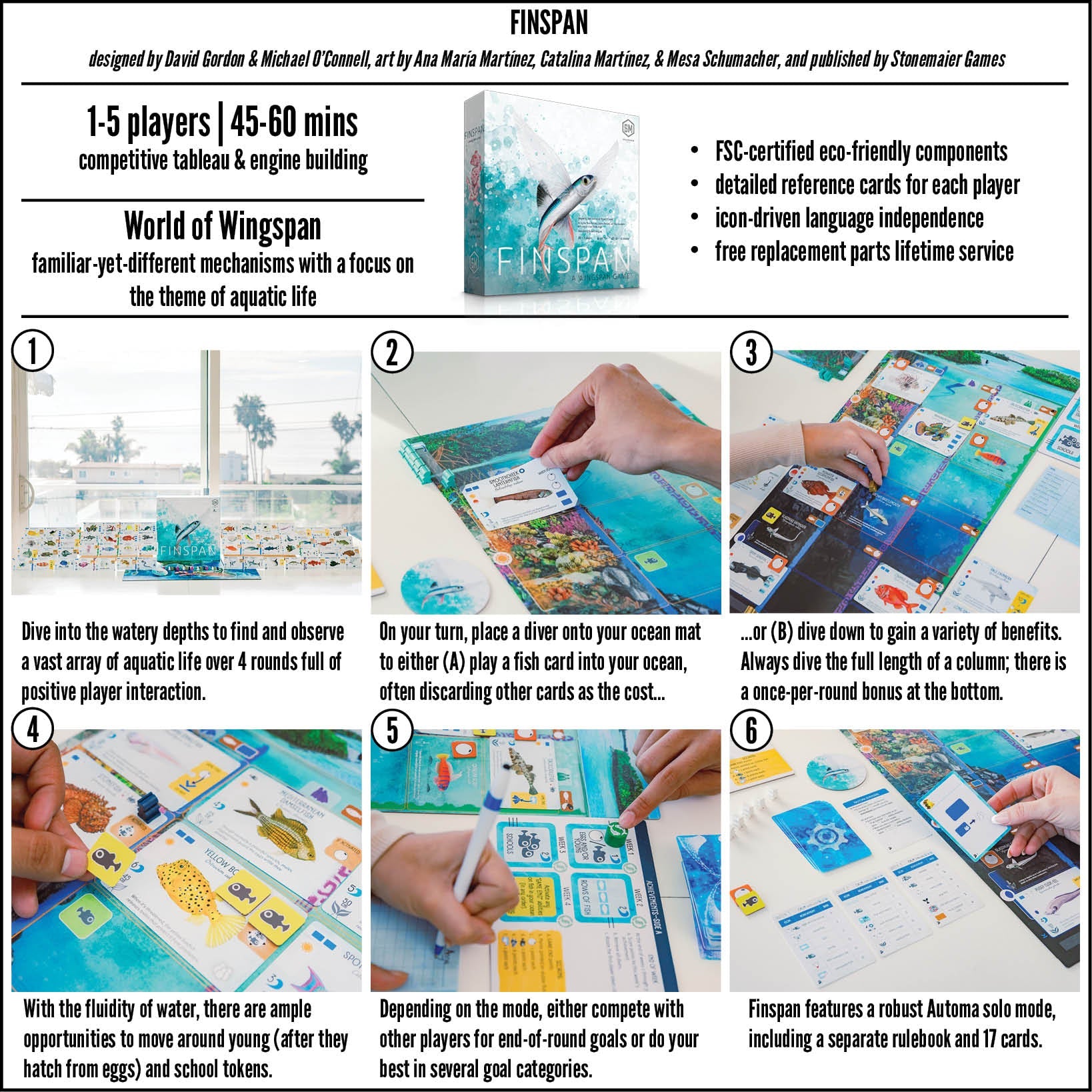 Finspan: Sharks & Reefs Expansion