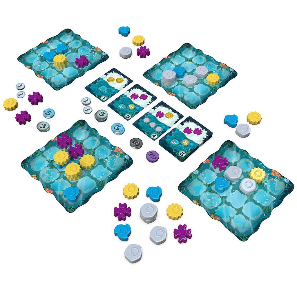 Reef: Second Edition
